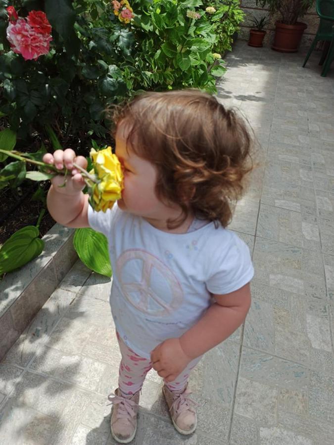 Guest House ,, Ekaterina" เนเซบาร์ ภายนอก รูปภาพ