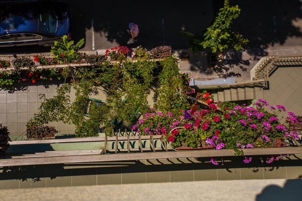 Guest House ,, Ekaterina" เนเซบาร์ ภายนอก รูปภาพ